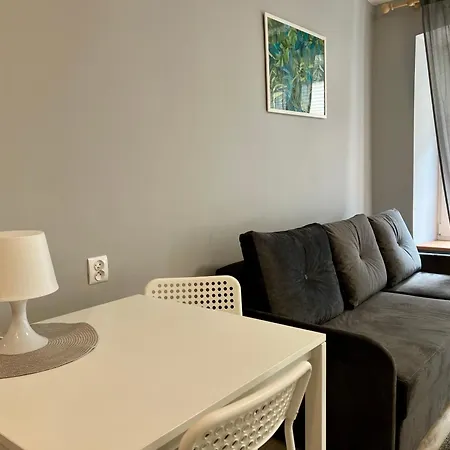 Kawalerka Obok Piotrkowskiej Apartment *